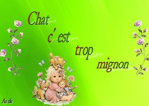 chat_c_est_trop_mignon_dede_51