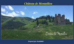 chateau_de_montaillou_jackdidier