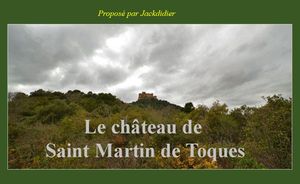 chateau_de_saint_martin_de_toques_jackdidier