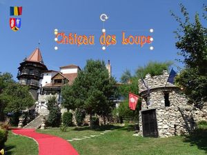 chateau_des_loups__stellinna