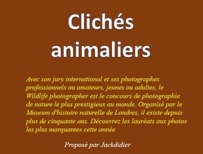 cliches_animaliers_jackdidier