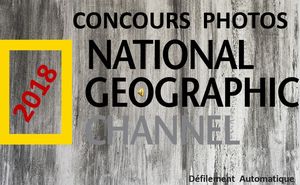 concours_photo_2018_du_national_geographic_roland
