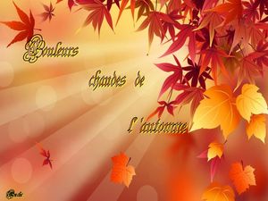 couleurs_chaudes_de_l_automne__dede_51