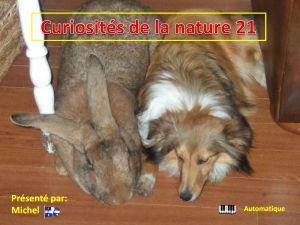 curiosites_de_la_nature_21_michel