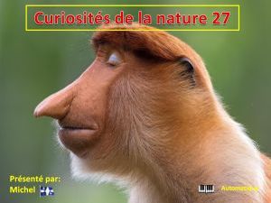 curiosites_de_la_nature_27__michel
