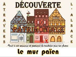 decouverte_patrimoniale_le_mur_paien_au_mont_sainte_odile__roland