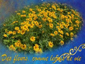des_fleurs_comme_lecons_de_vie__reginald_day