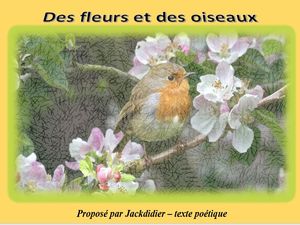 des_fleurs_et_des_oiseaux__jackdidier