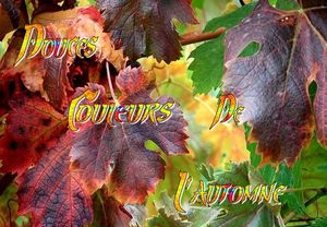 douces_couleurs_de_l_automne_dede_51