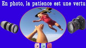 en_photo_la_patience_est_une_vertu_maumau