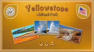 etats_unis_parc_national_yellowstone_steve
