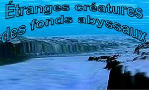 etranges_creatures_des_fonds_abyssaux_apex