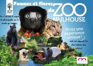 faunes_et_flores_du_zoo_de_mulhouse__roland