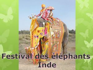 festival_de_los_elefantes_en_la_india_ibolit