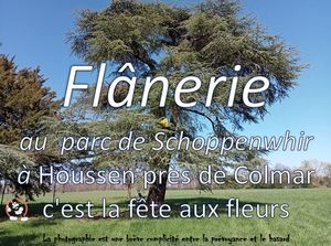 flanerie_au_parc_de_schoppenwihr_a_houssen__roland