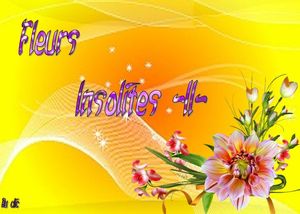 fleurs_insolites_2_dede_51