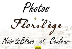 florilege_de_photos_noir_et_blanc_et_couleur_roland