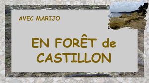 foret_de_castillon_st_mitre__marijo