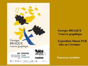 georges_braque_l_oeuvre_graphique__jackdidier