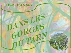 gorges_du_tarn_1__marijo