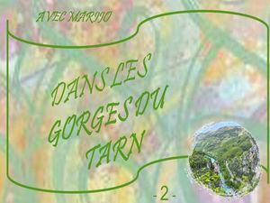 gorges_du_tarn_2__marijo