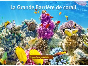 grande_barriere_de_corail_1__jackdidier