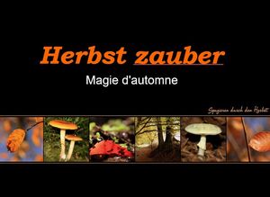 herbst_zauber_magie_d_automne_romy