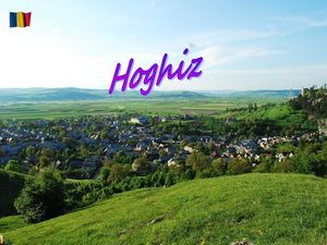 hoghiz__stellinna
