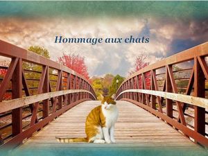 hommage_aux_chats__reginald_day