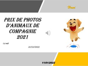 hr296_prix_de_photos_d_animaux_de_compagnie_2021_riquet77570