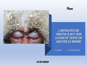 hr307_l_initiative_de_photos_a_but_non_lucratif_tente_riquet77570