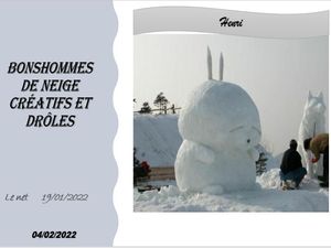 hr319_bonshommes_de_neige_creatifs_et_droles_riquet77570