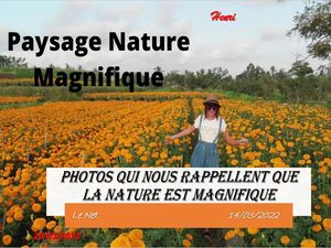 hr364_photos_qui_nous_rappellent_que_la_nature_est_riquet77570