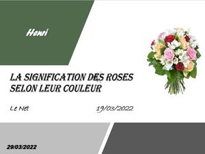 hr372_la_signification_des_roses_selon_leur_couleur_riquet77570