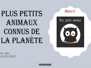 hr411_plus_petits_animaux_connus_de_la_planete_riquet77570