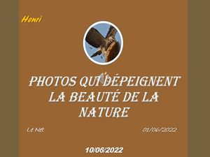 hr424_photos_qui_depeignent_la_beaute_de_la_nature_riquet77570