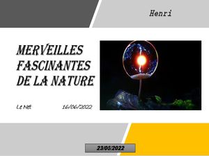 hr440_merveilles__fascinantes_de_la_nature_riquet77570