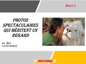 hr466_photos_spectaculaires_qui_meritent_un_regard_riquet77570