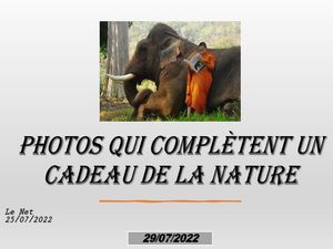 hr468_photos_qui_completent_un_cadeau_de_la_nature_riquet77570