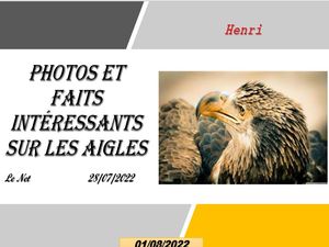 hr472_photos_et_faits_interessants_sur_les_aigles_riquet77570