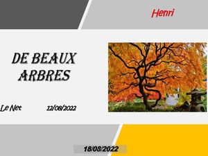 hr489_de_beaux_arbres_riquet77570
