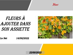 hr493_fleurs_a_ajouter_dans_son_assiette_riquet77570