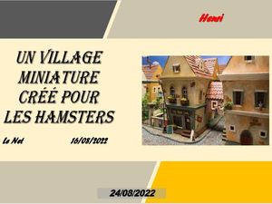 hr495_un_village_miniature_cree_pour_les_hamsters_riquet77570