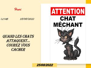 hr496_quand_les_chats_attaquent_riquet77570