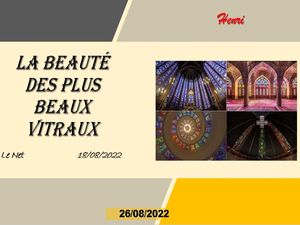 hr497_la_beaute_des_plus_beaux_vitraux_riquet77570
