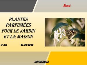 hr499_plantes_parfumees_pour_le_jardin_et_la_maison__jackdidier