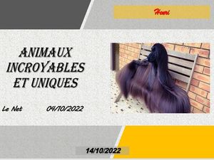 hr535_animaux_incroyables_et_uniques_riquet77570