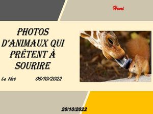 hr539_photos_d_animaux_qui_pretent_a_sourire_riquet77570