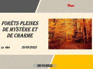 hr548_forets_pleines_de_mystere_et_de_charme_riquet77570