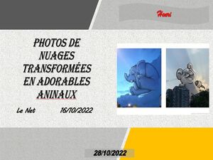 hr549_photos_de_nuages_transformees_en_adorables_aninaux_riquet77570
